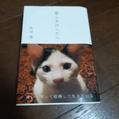 猫とあほんだら