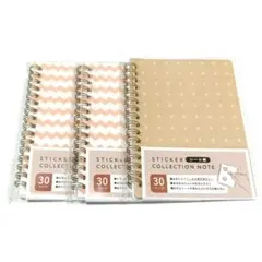 Item thumbnail for item 2a733de8-fb31-4702-8a91-aa82d400d308