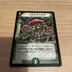 シビレアシダケ 美品
