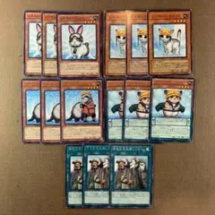 No.9935 遊戯王 遊戯王 レスキューラビット レスキューキャット 他