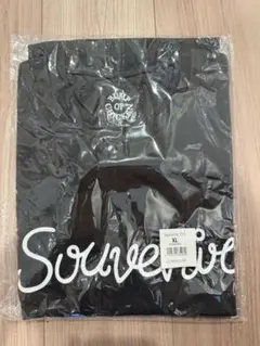 BUMP OF CHICKEN souvenir Tシャツ