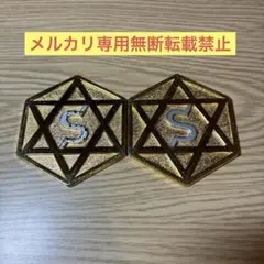セリストン研究所　パワープレート大　直径約6cm 厚み 3mm ×2 セリストン研究所 パワープレート大 直径約6cm 厚み 3mmオ