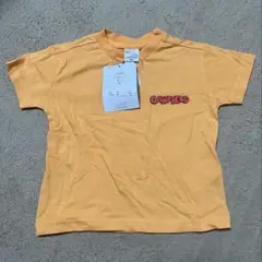 Item thumbnail for item 6058697c-8cc4-4445-b44c-ee33469ac517