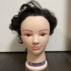 オールウェーブ用ウィッグ 2台