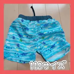 Item thumbnail for item f353897e-c8e8-4b60-bfba-240f59852cc6