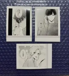 踏んだり、蹴ったり、愛したり　ぱしゃこれ