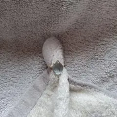 ブルーブラン様確認用