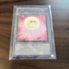 遊戯王 綿毛トークン ノーマルパラレル