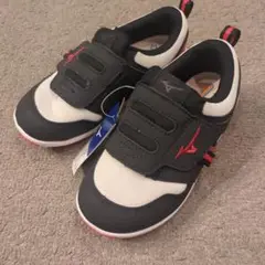 Item thumbnail for item 9f84d83c-85bc-43da-885a-cc3c8da47253