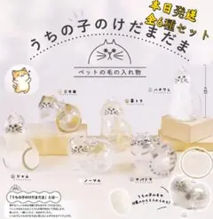 全6種セットうちの子のけだまだま ガチャ カプセルトイ キーホルダー #4
