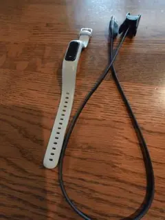 Garmin Vivosmart 4 本体 充電ケーブル付き