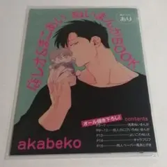 10周年記念 小冊子 akabeko 店レオ&まこあい ぬいまんがBOOK