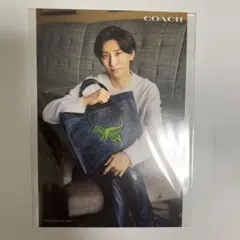 ★【希少】COACH コーチ　恐竜　ダイナソー　キーホルダー　京本大我★ ☆【希少】COACH コーチ 恐竜 ダイナソー キーホルダー 京本大我☆