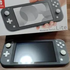 Nintendo Switch Lite グレー⚠ジャンク