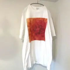 【レア】D.A.N. 2018 ツアーTシャツ dan