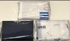 Item thumbnail for item e711f00e-0fd3-4826-9250-dc10006dc64f