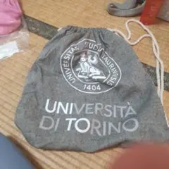 UNIVERSITÀ DI TORINO 巾着袋 グレー