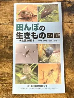 田んぼの生き物図鑑   増補改訂新版/山と渓谷社/内山りゅう（単行本（ソフトカバー）） 田んぼの生き物図鑑 増補改訂新版 (ヤマケイ情報箱) | 内山