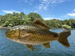 木彫りのお魚「ギンブナ」マグネットタイプ
