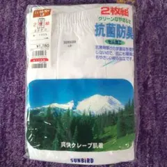 【新品未使用・自宅保管品】 半ズボン下ステテコ L 2枚組