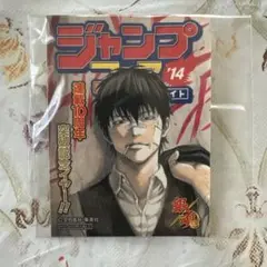 銀魂 土方十四郎 ジャンプフェアinアニメイト2014 雑誌表紙風ステッカー