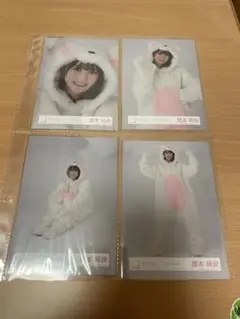 櫻坂46 増本綺良 どうぶつ着ぐるみコンプ