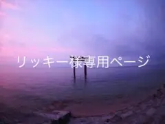 リッキー様専用ページ