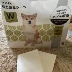 Item thumbnail for item ceeb25b2-7e83-420f-b5dd-6248dde1d6f1