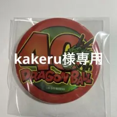 こちら専用ページとなります。