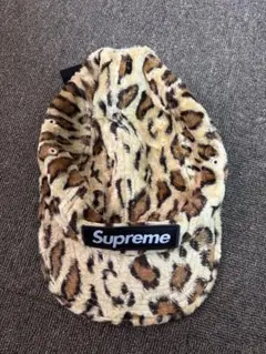 Item thumbnail for item 1c097d72-48cc-4855-a0bc-29e6687d6774