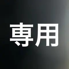 雑誌　付録　ちゃお　2010.5 2011.11 ④