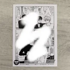 歌舞伎町バッドトリップ 池田とリオ　ビーボーイ応援書店購入特典ペーパー