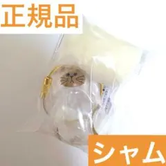 【当日発送早い者勝ち¨̮⃝】シャム うちの子のけだまだま【匿名】