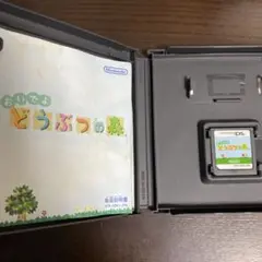 DS おいでよ　どうぶつの森
