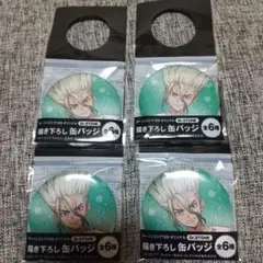 Dr.STONE ローソン100 石神千空 缶バッジ ４個