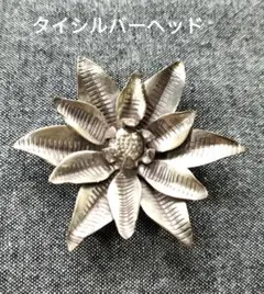タイ・シルバーヘッド 16.1g