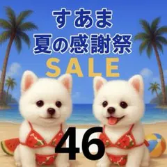 ✨夏の感謝祭セール✨パネル【Ｎｏ．46】