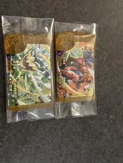 ポケモンフレンダ第1弾 ベストタッグ コライドン オーガポン