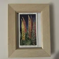 Item thumbnail for item c98e40bd-ffde-4437-b1df-520fbcd69ad7