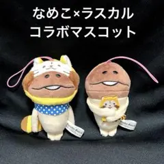 なめこ栽培キット　なめこ　ラスカル　コラボマスコット　2体セット
