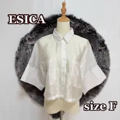 ESICA　シアーワッシャーカフスシャツ　ホワイト（F）クロップド