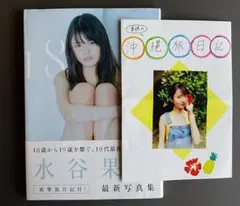 Item thumbnail for item 23cf73fb-85ee-458e-ade2-5d4cf244a7c1