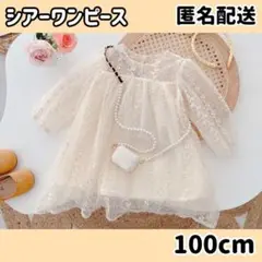 Item thumbnail for item c1aacf9e-bfba-494a-9260-a5aeedfa7fae