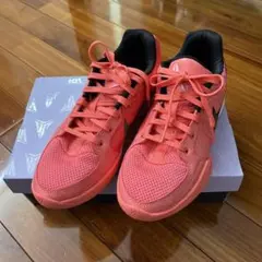 Nike Ja 2 Heart Eyes サイズ26cm 数回使用