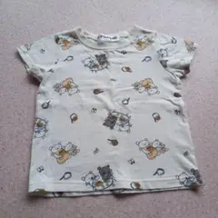 こぐまちゃん　Tシャツ　最終値下げ