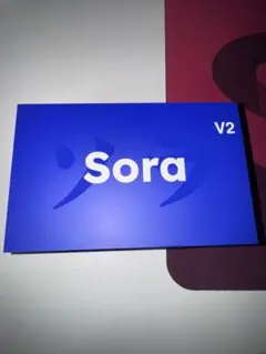 NINJUTSO sora v2 ブラック