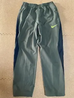 Item thumbnail for item 1de67689-abc2-4f2b-84ef-1daeab40f3fc