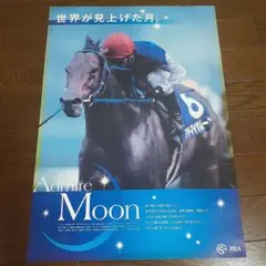 Yahoo!オークション - JRA ヒーロー列伝ポスター NO.43 ヒシ