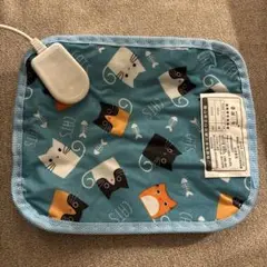 Item thumbnail for item 7ba68fe5-5c6c-4d44-8b25-7b69675044e5