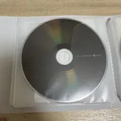 中島美嘉 TRUE